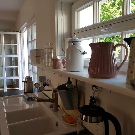 Ferienidyll-Reitwein Villa Exteriör bild