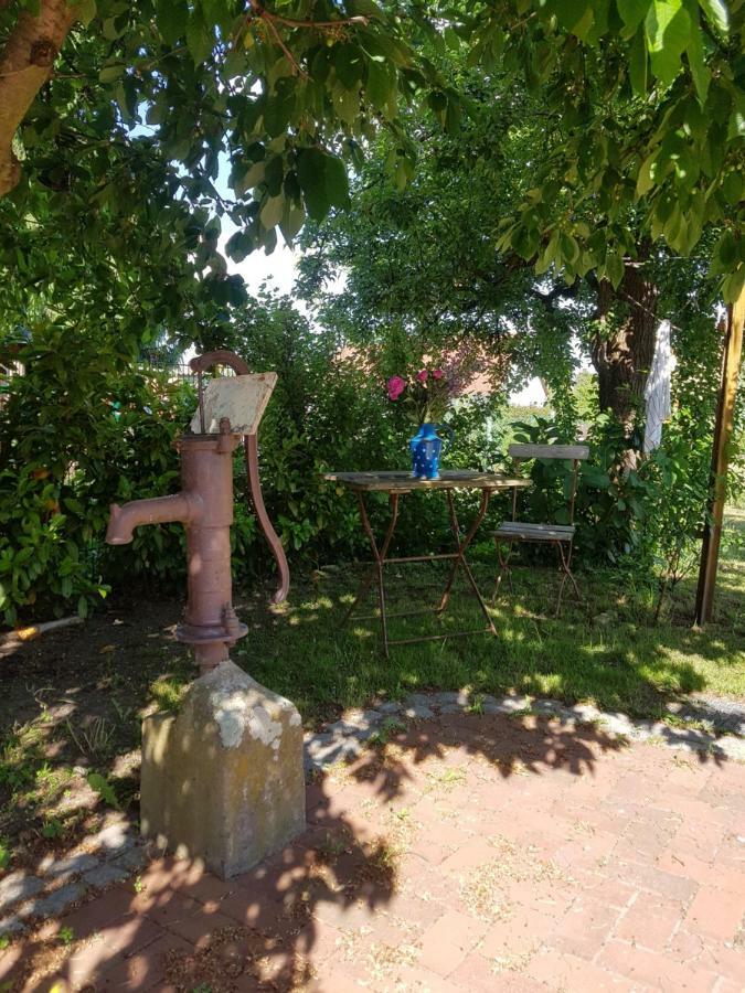 Ferienidyll-Reitwein Villa Exteriör bild